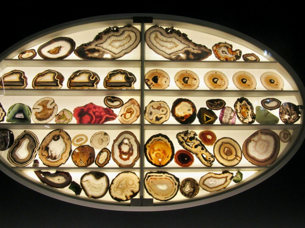 The Alchemy of Stones. Visit to the Specola Museum